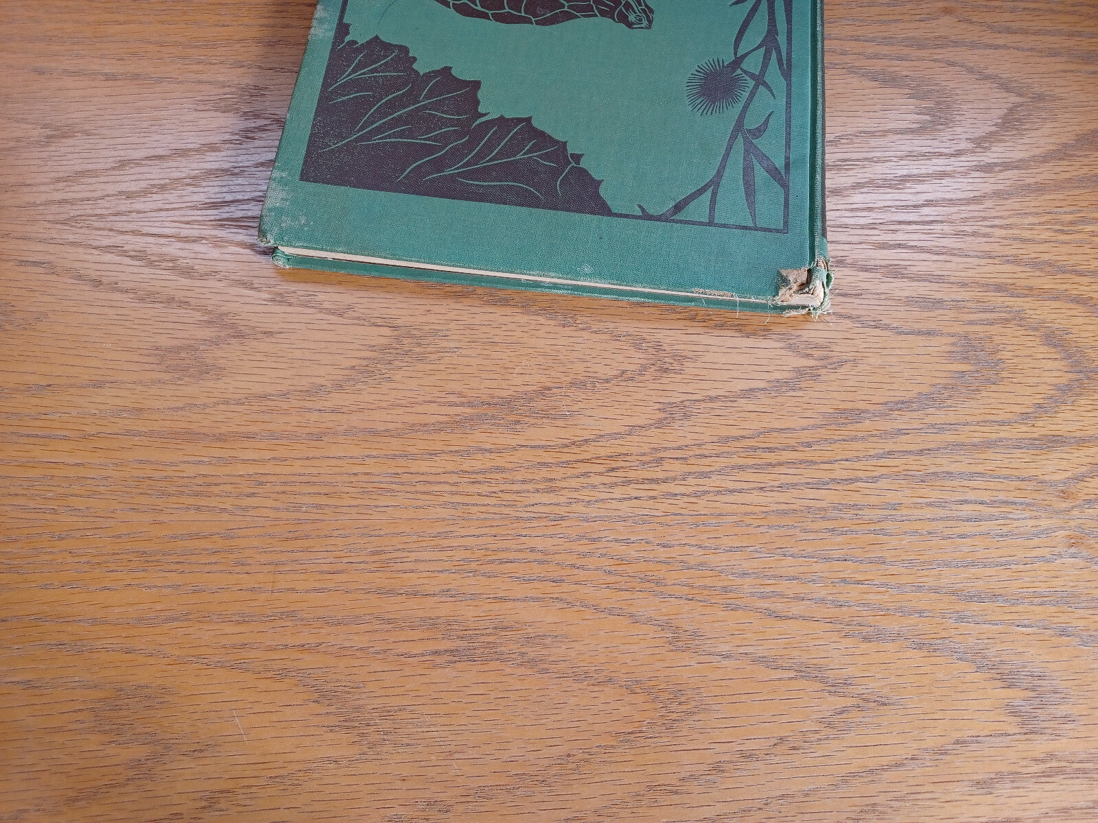 Image #4