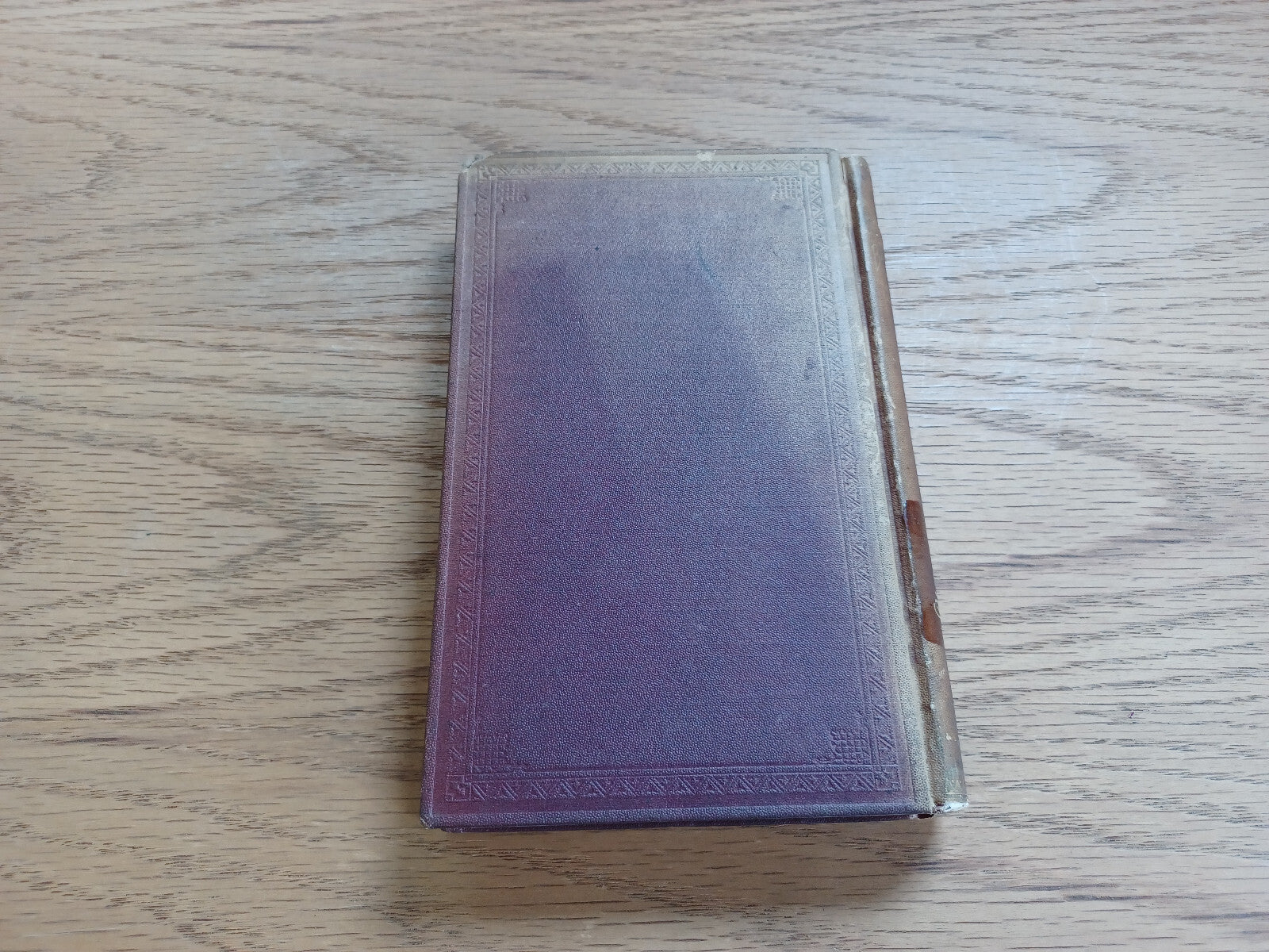 Image #6