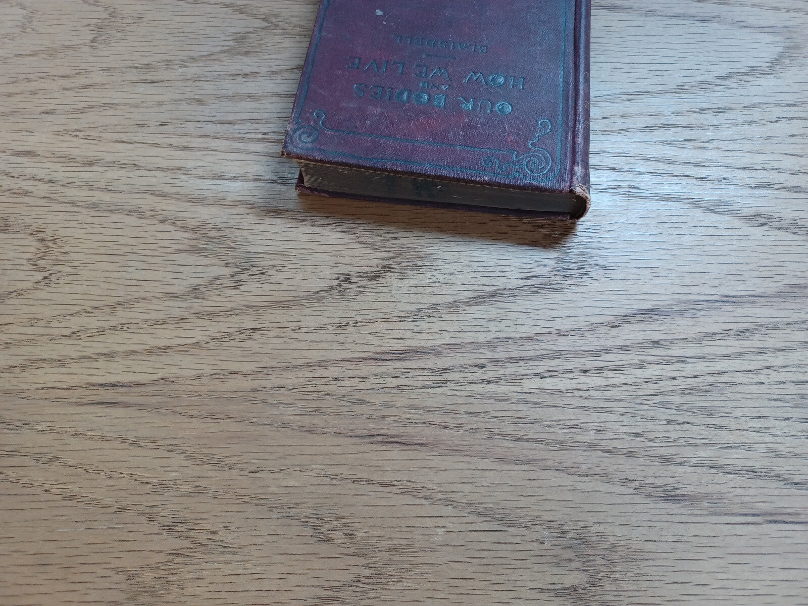 Image #4