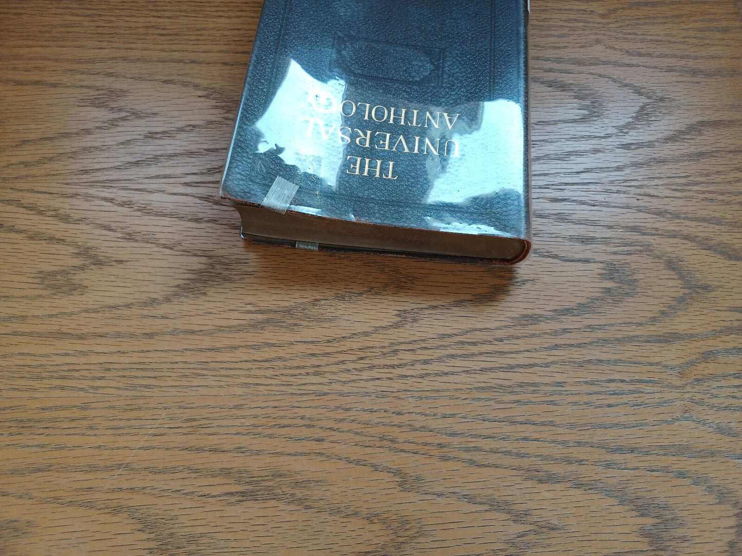Image #4