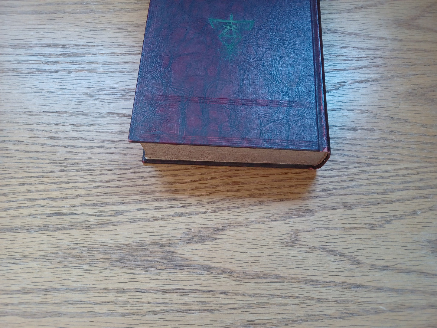 Image #4