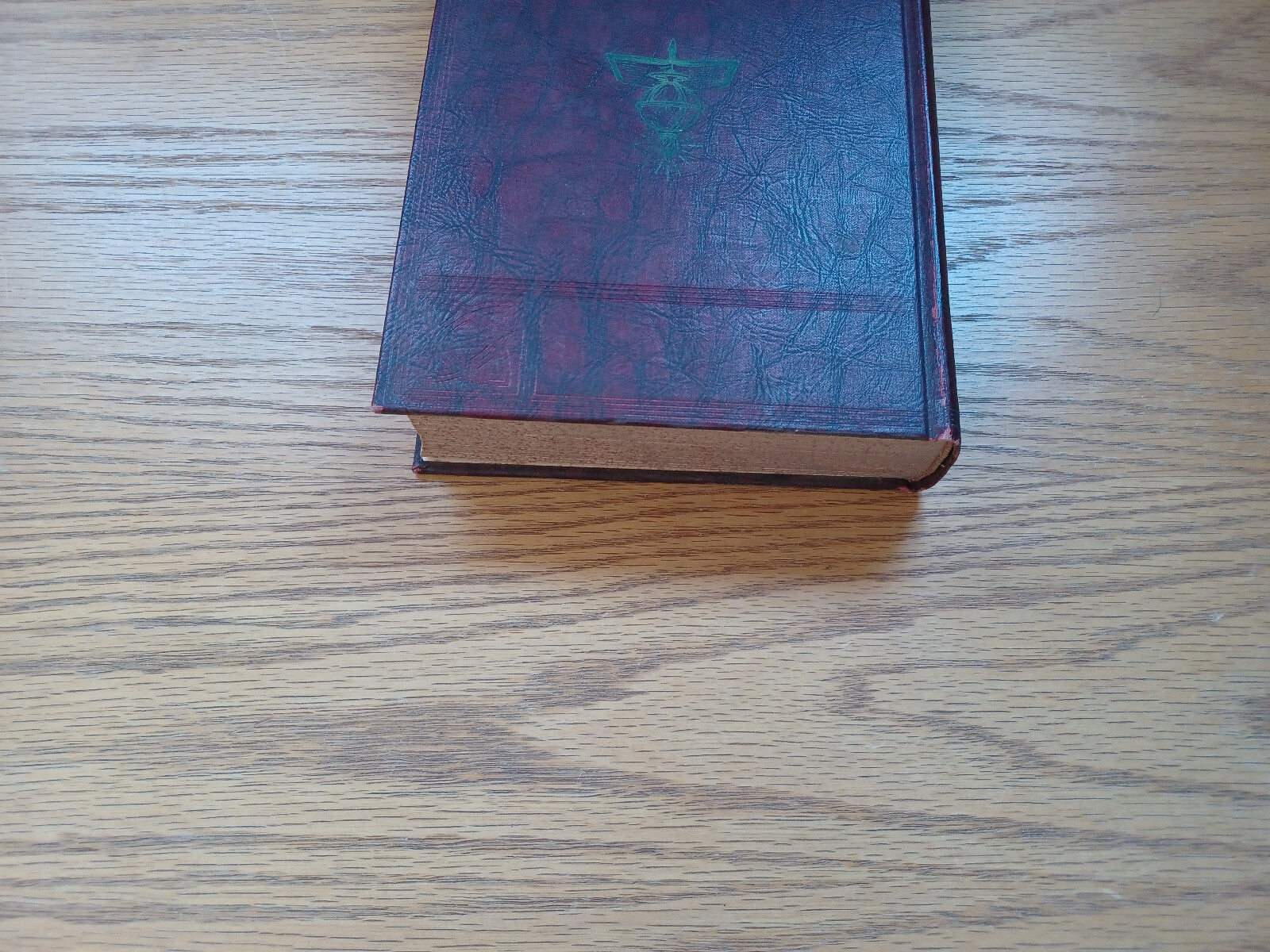Image #4