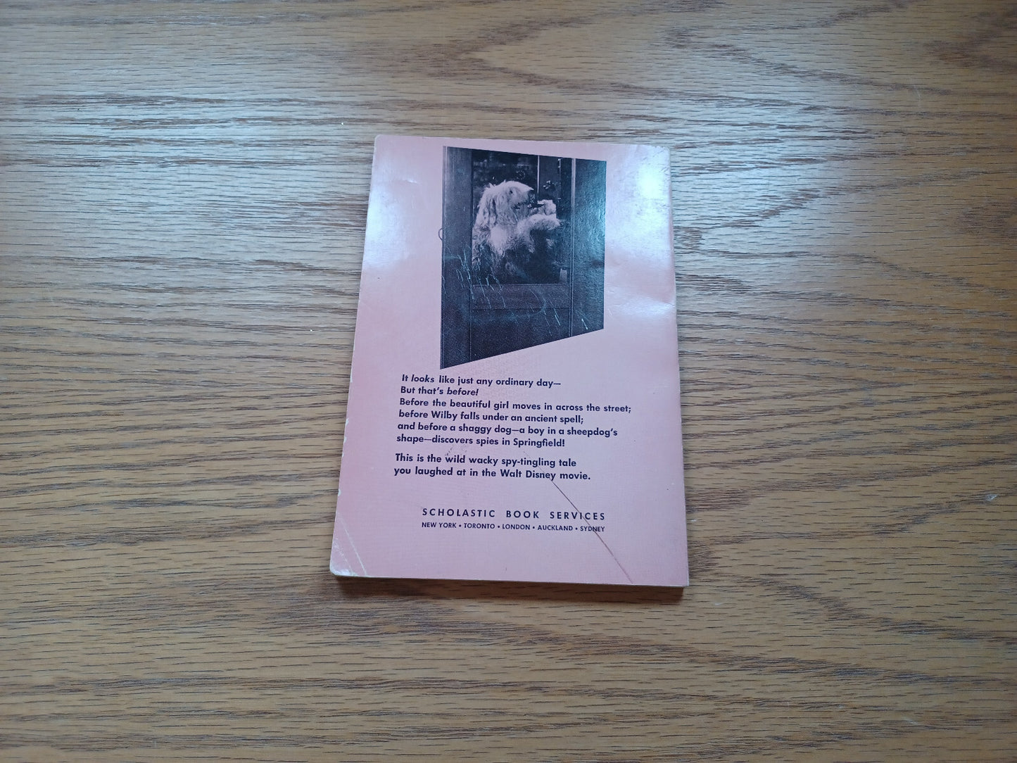 Image #6