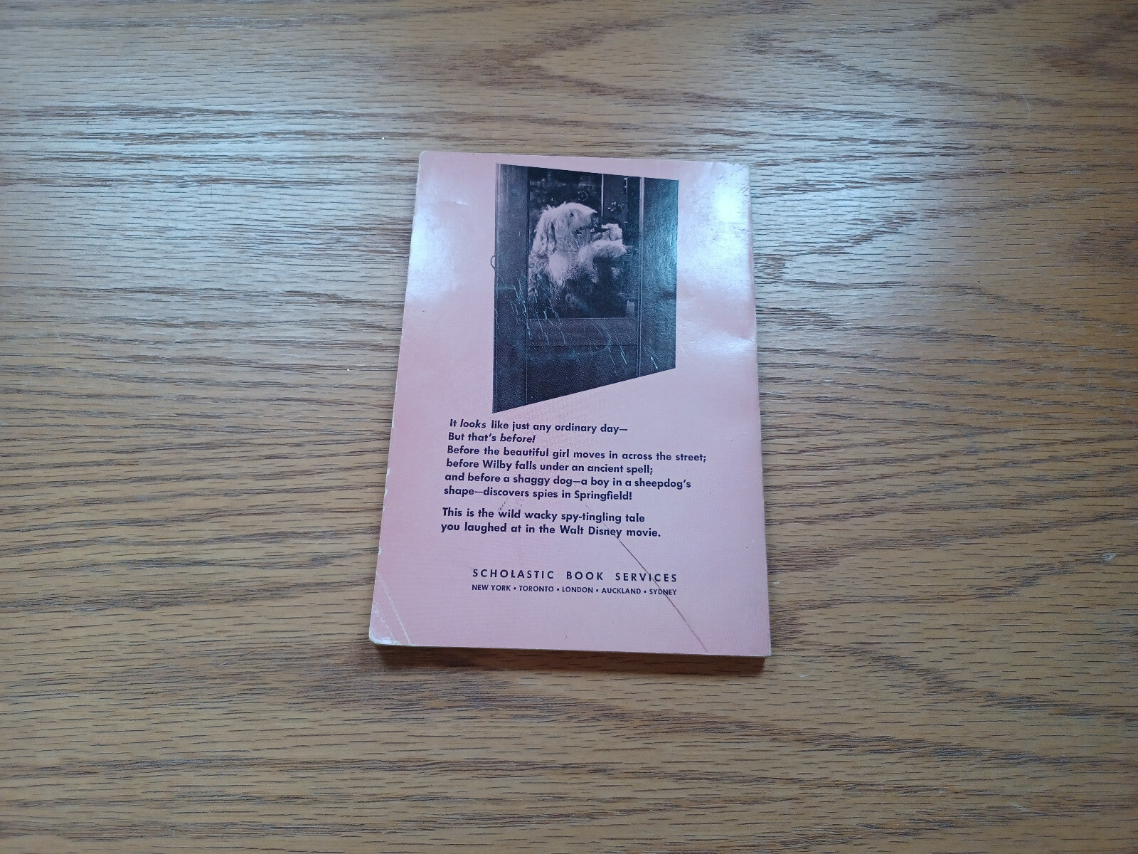 Image #6