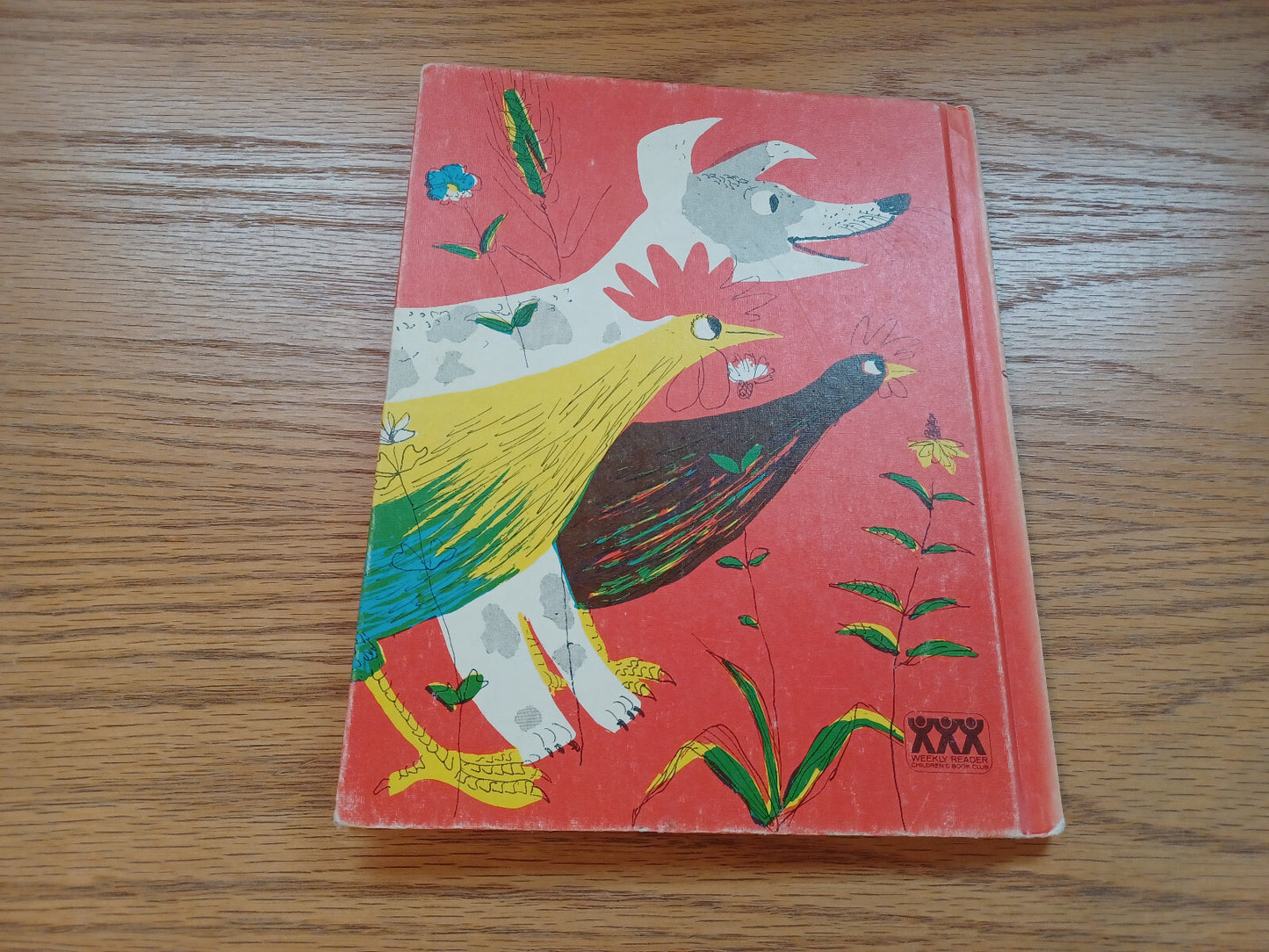 Image #6