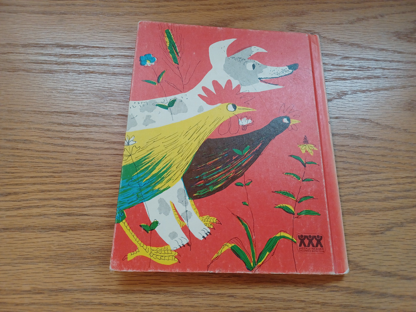 Image #6