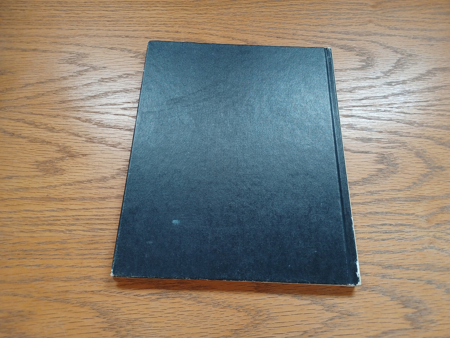 Image #6