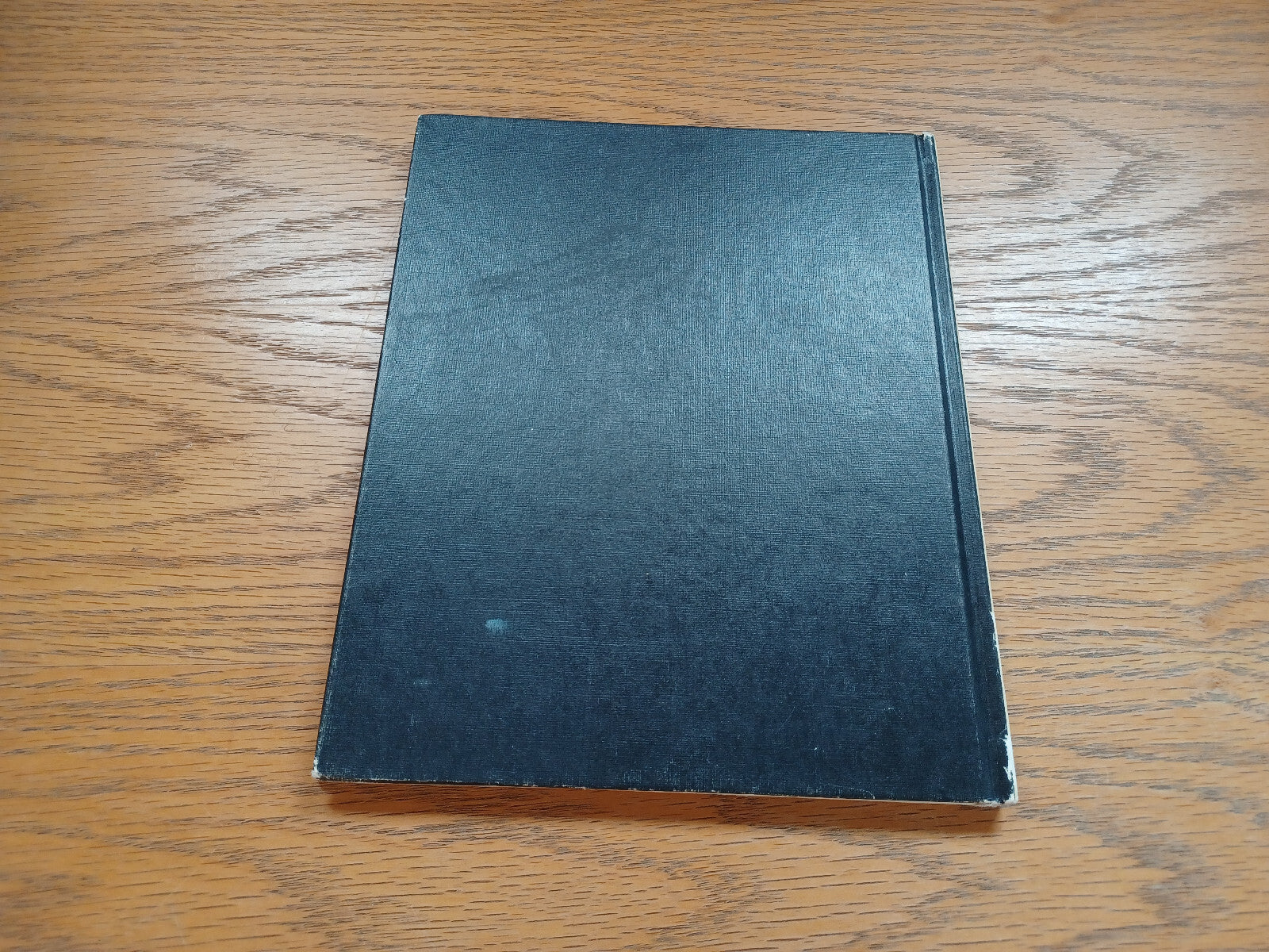Image #6