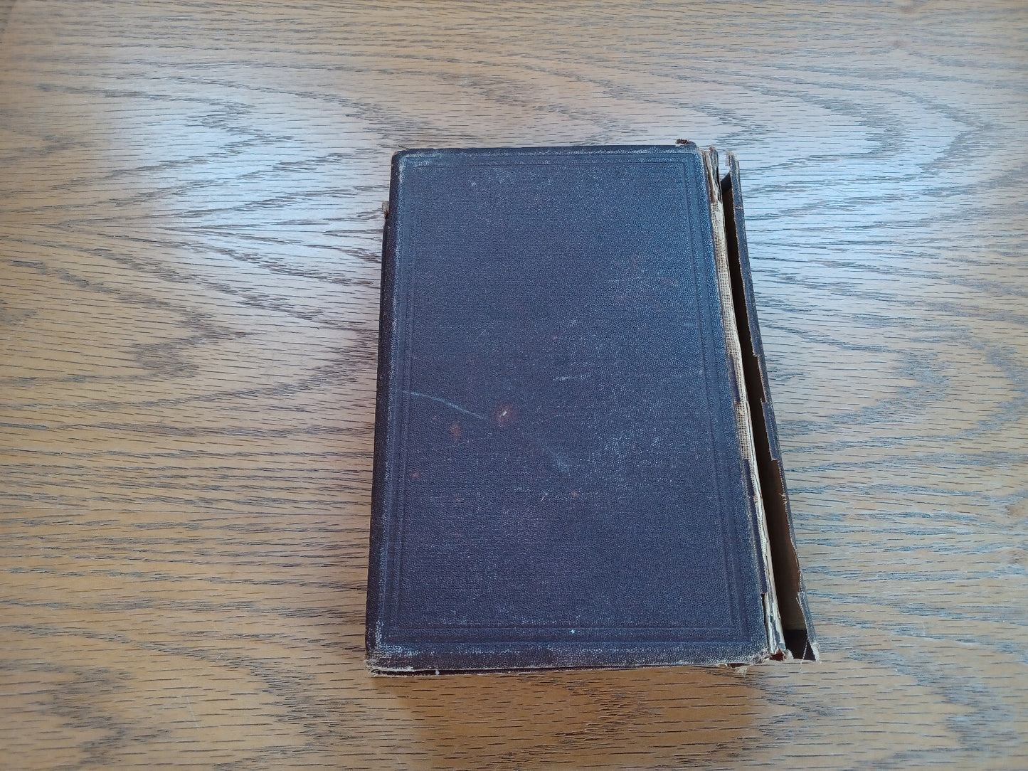 Image #6