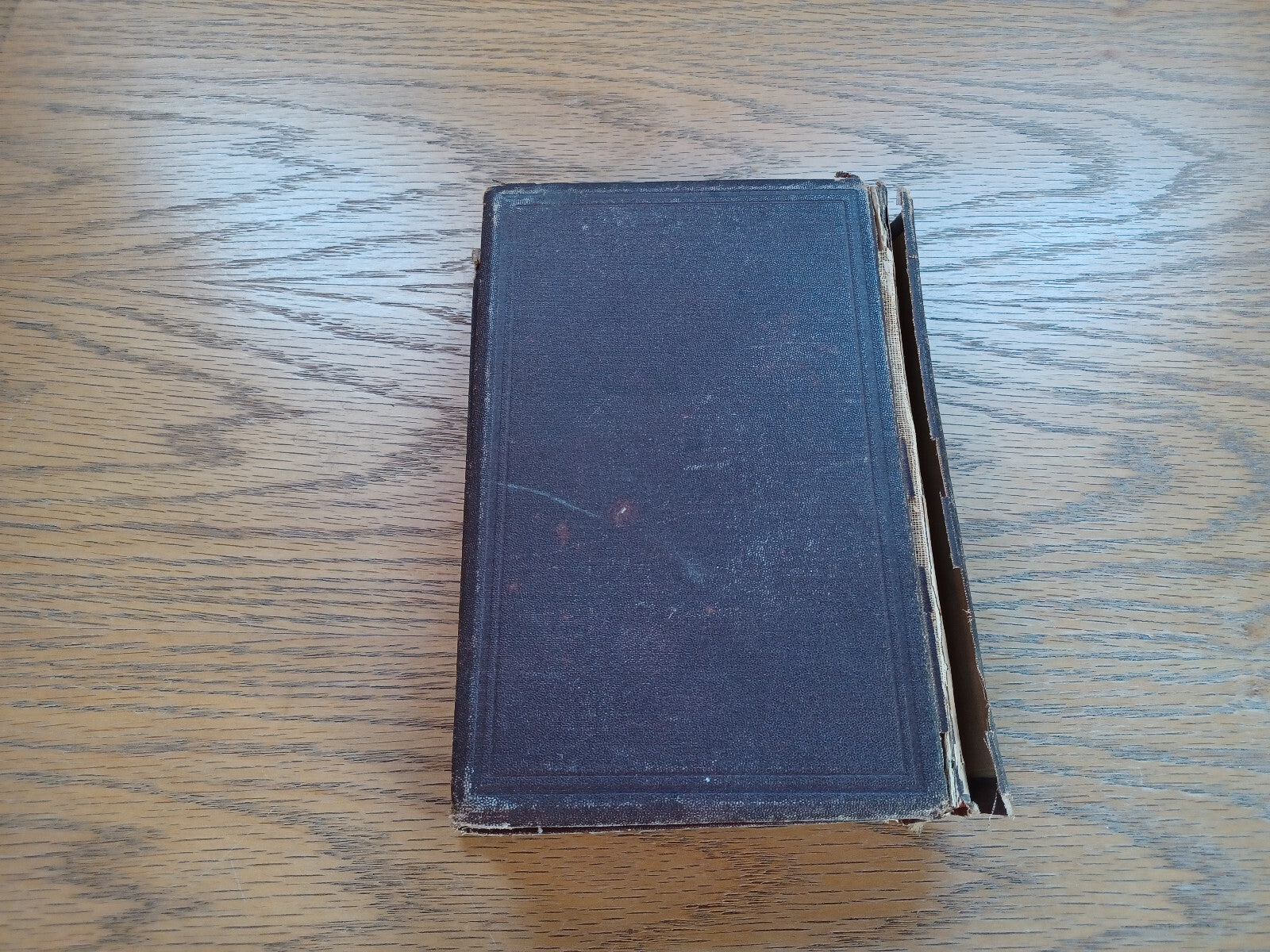 Image #6