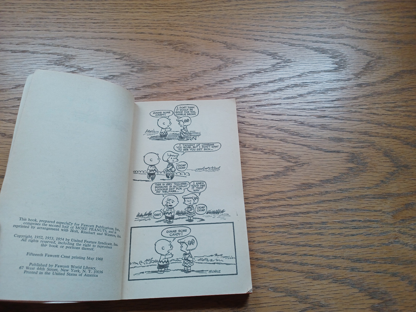 Image #8