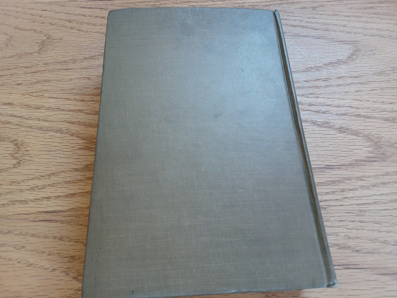 Image #6