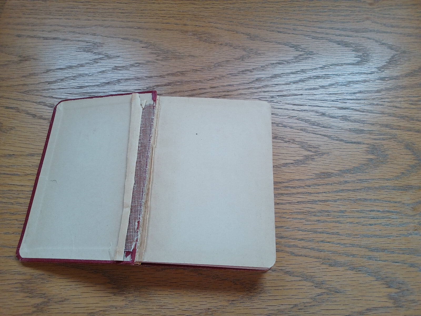 Image #7