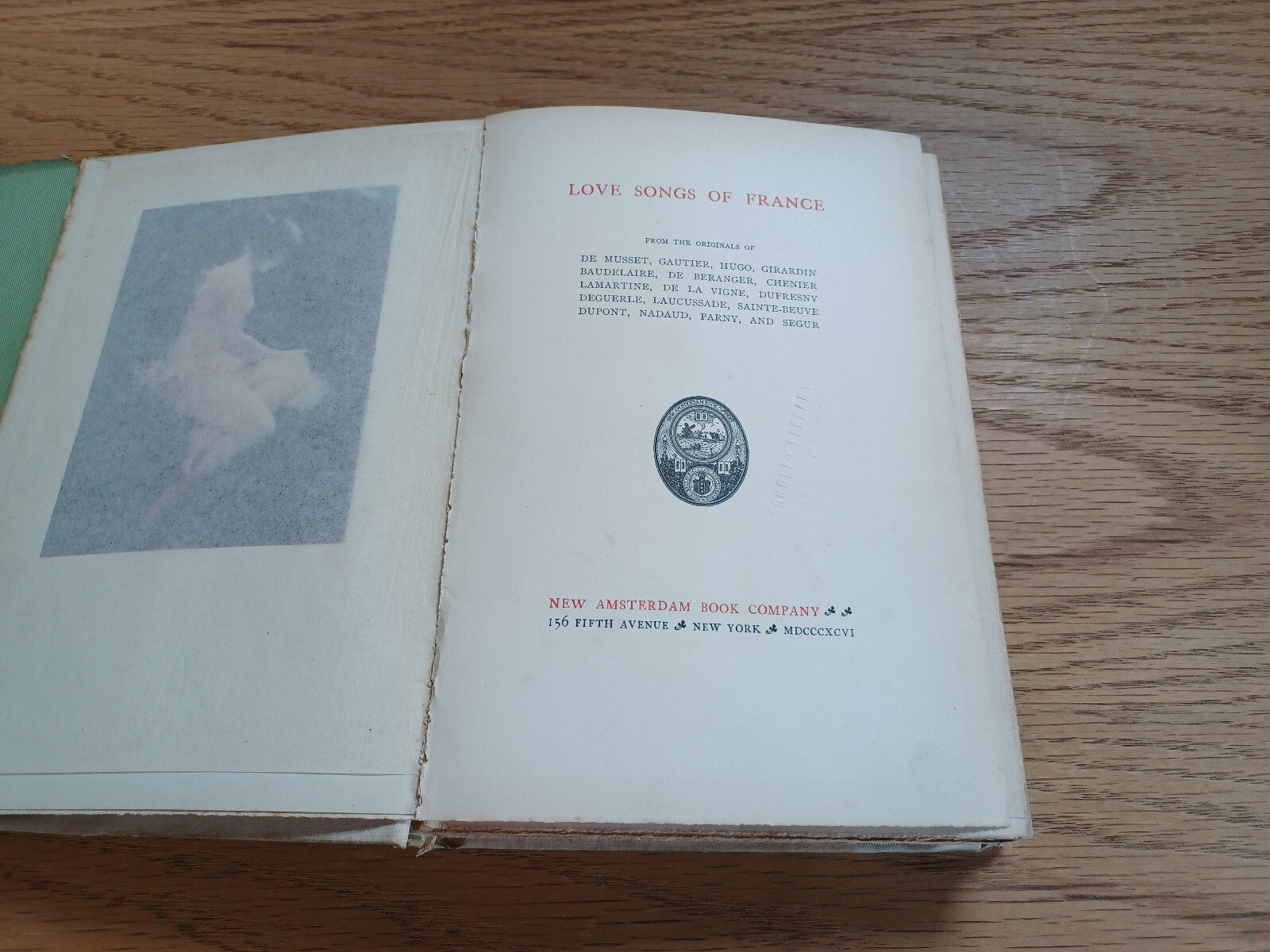 Image #8