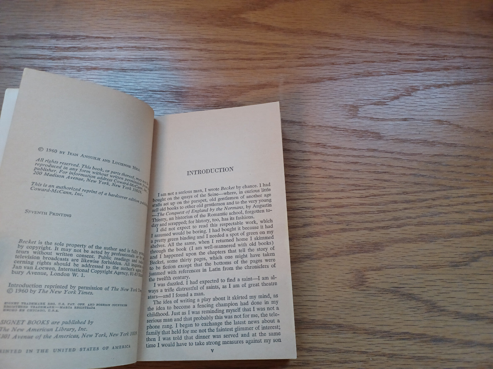 Image #8