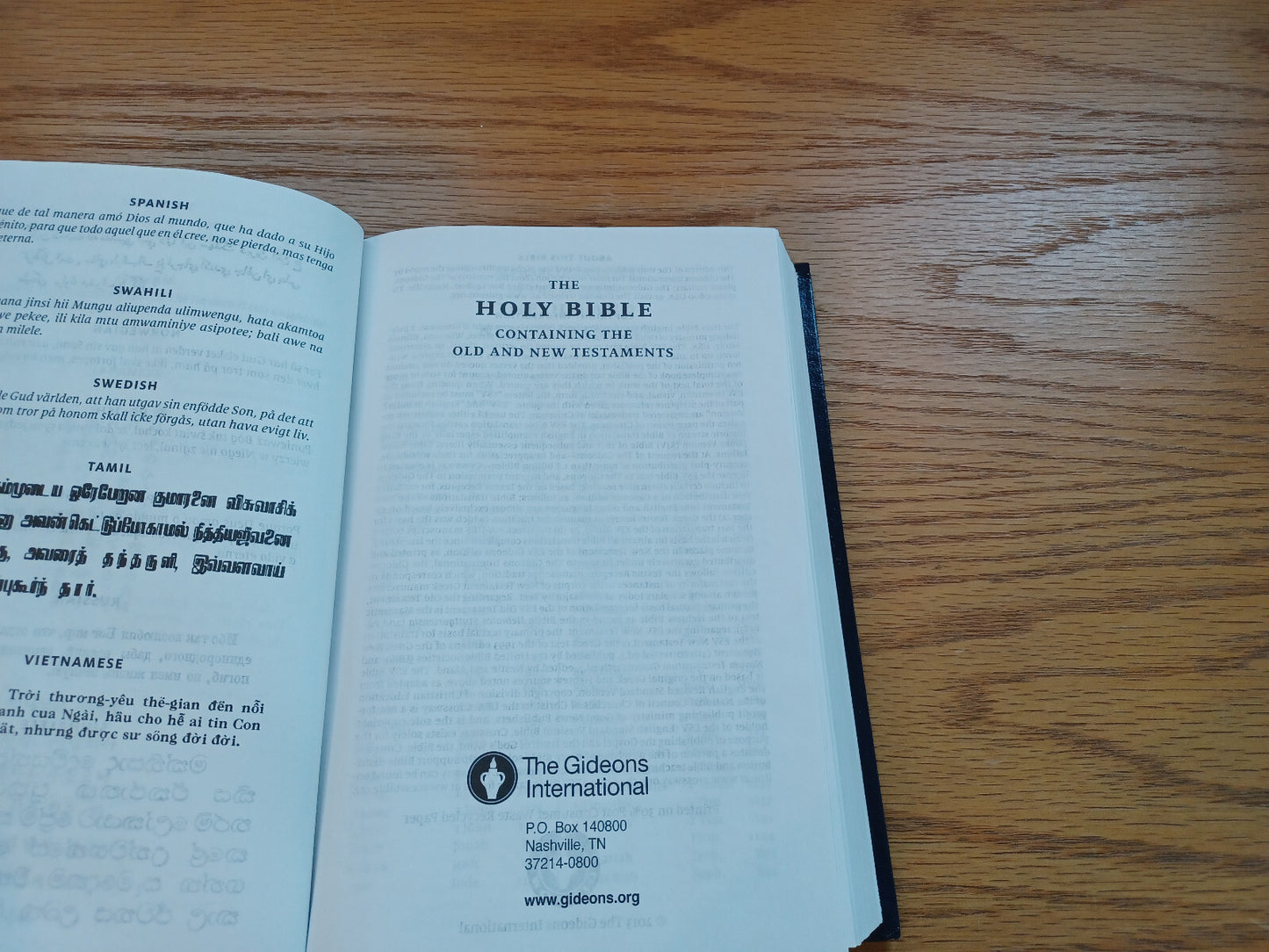 Image #7