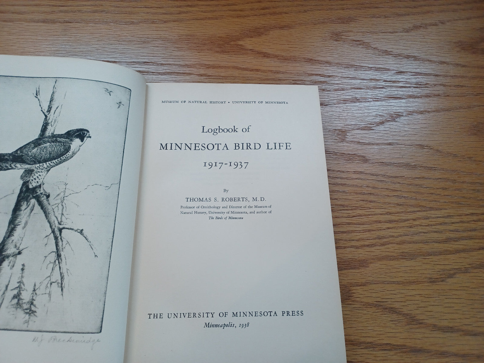 Image #7