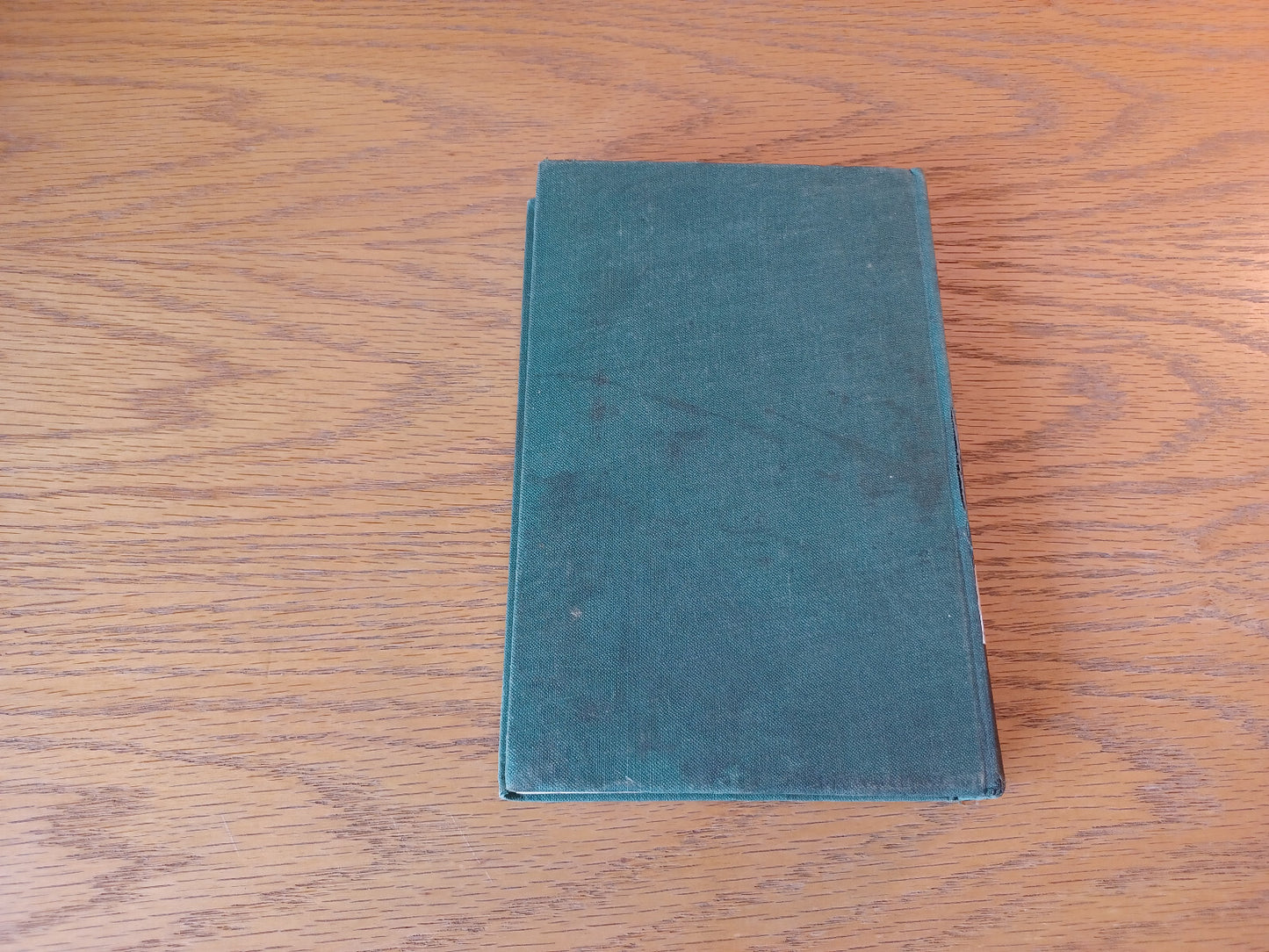 Image #6