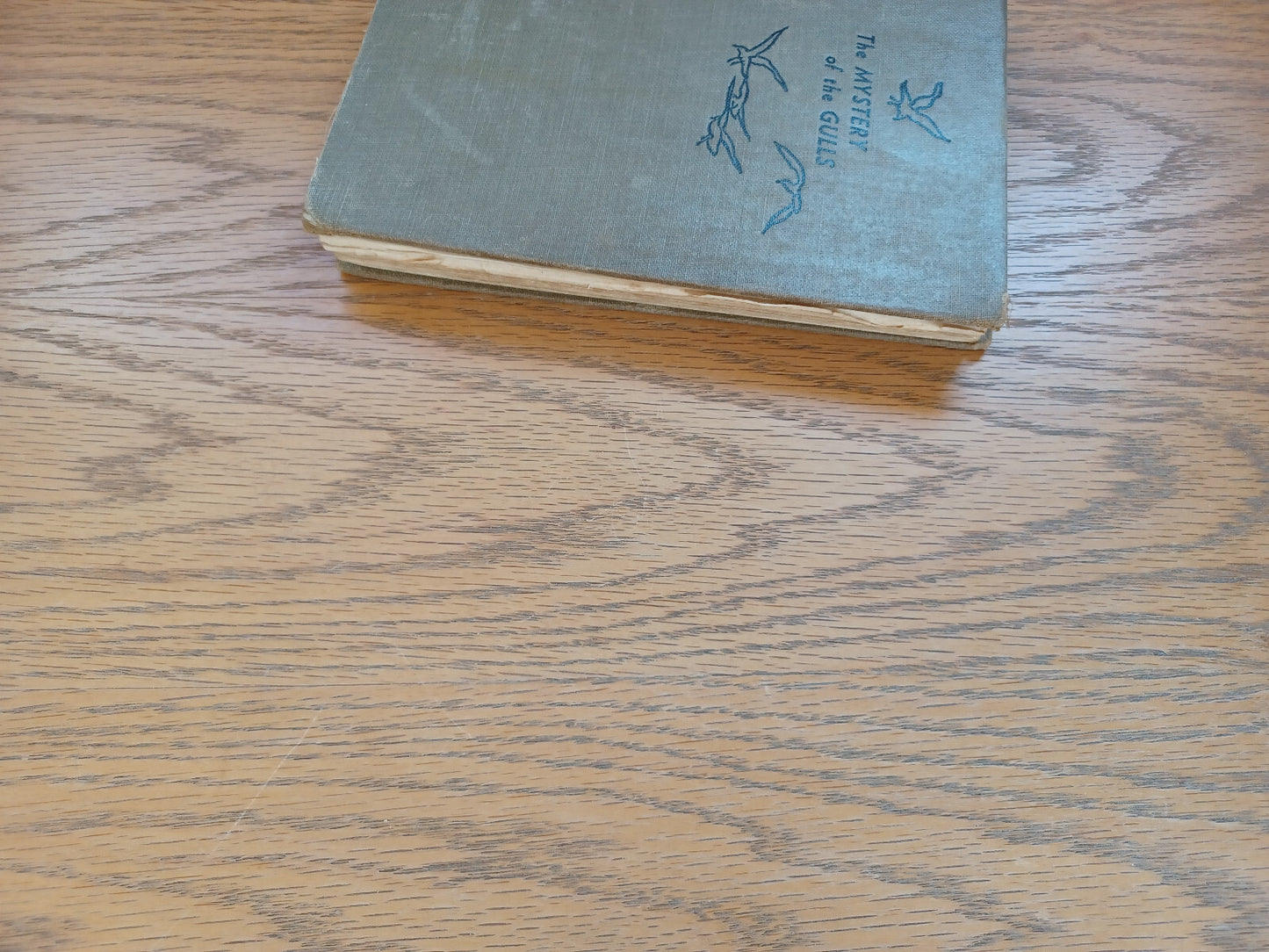 Image #3