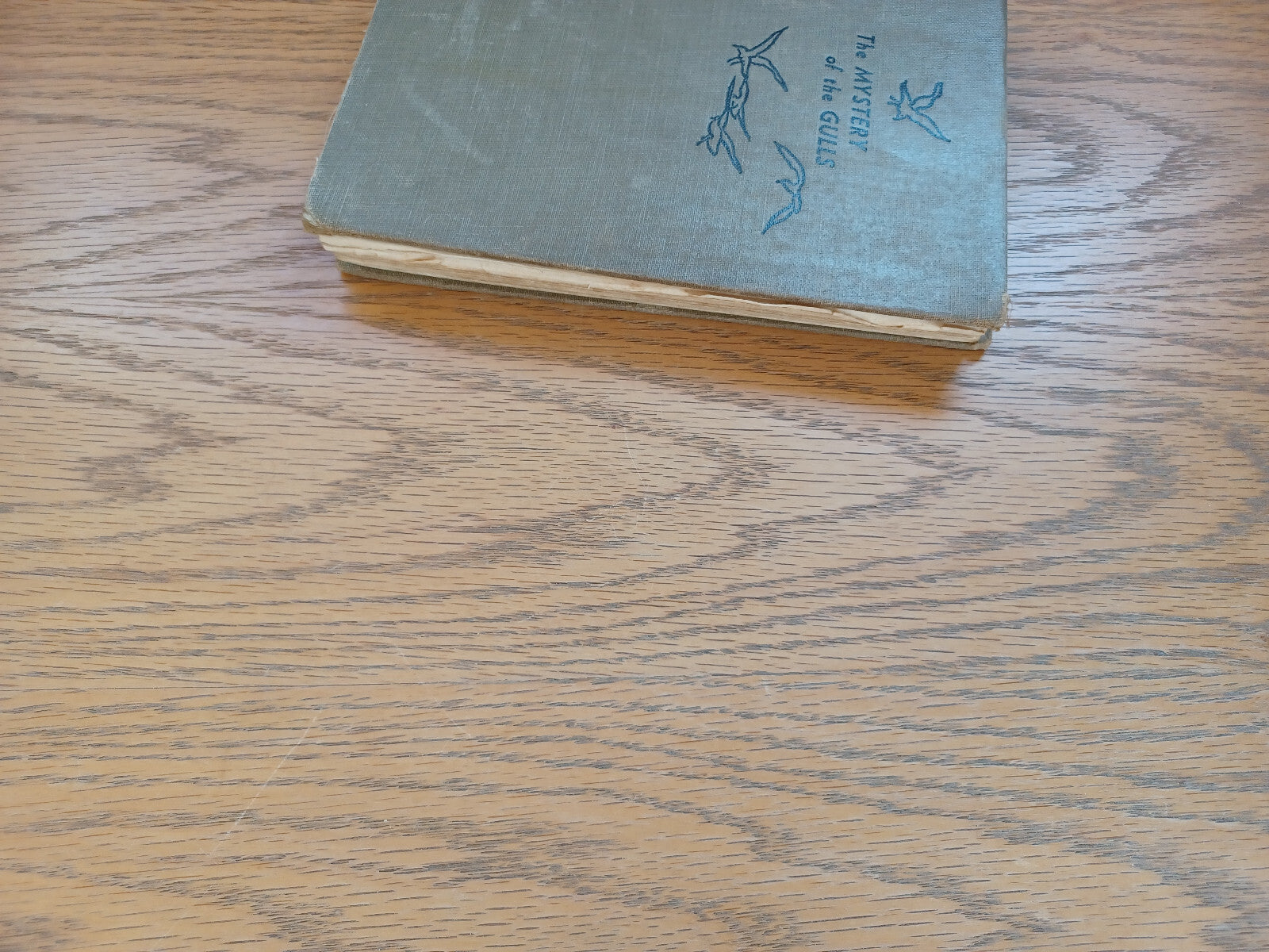 Image #3