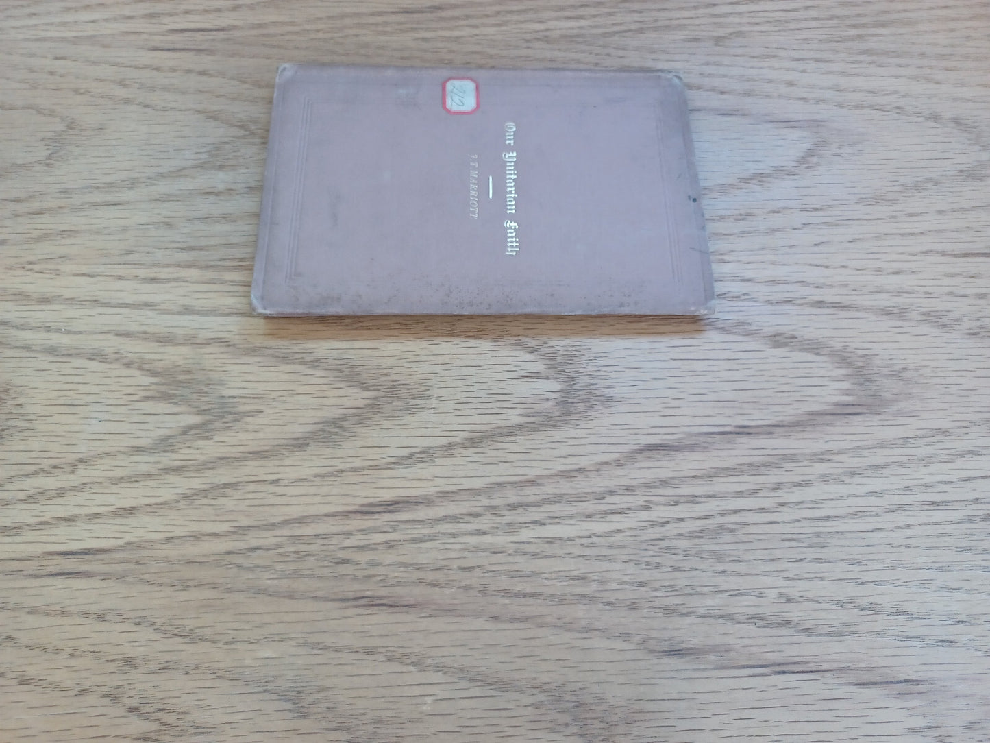 Image #3