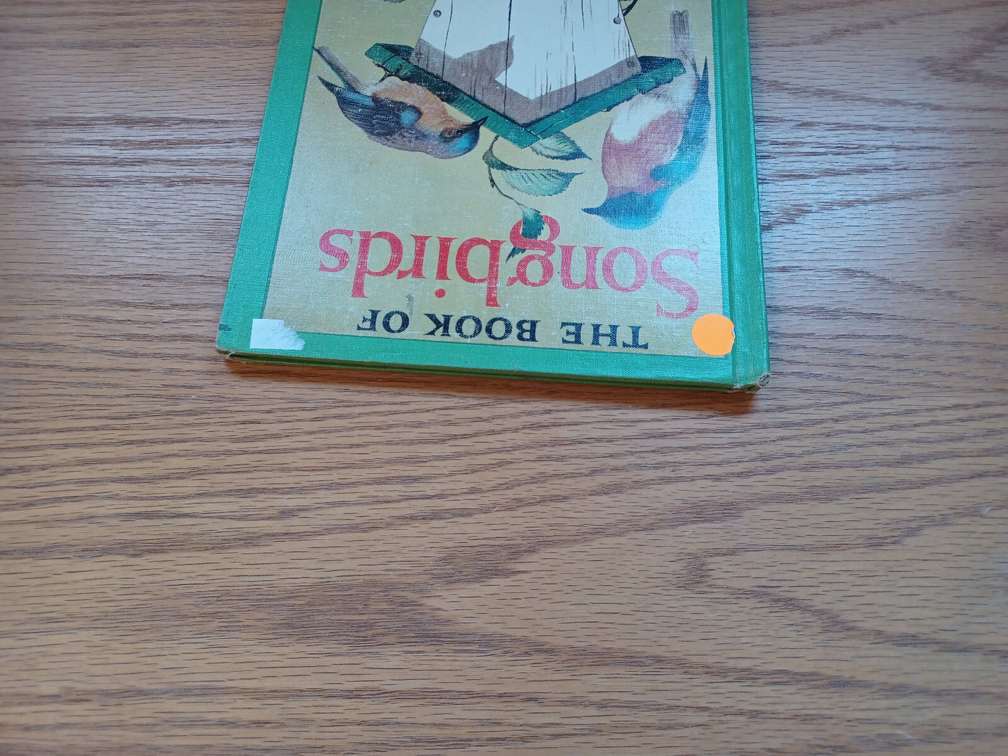 Image #4