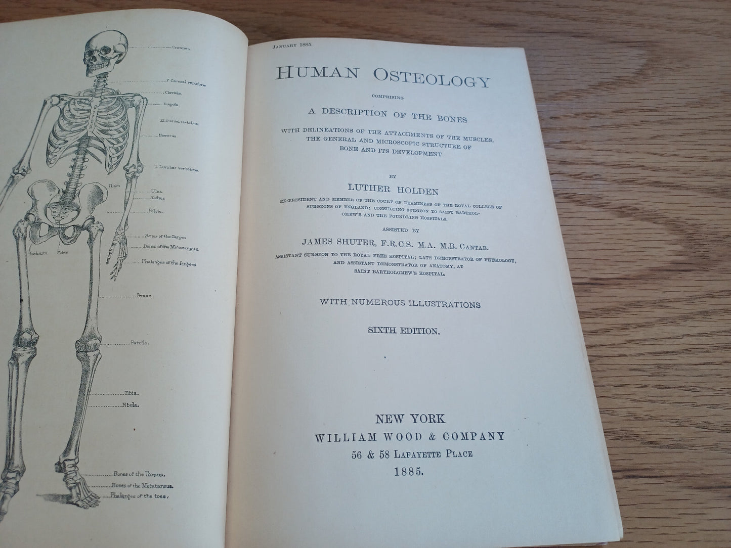 Image #8