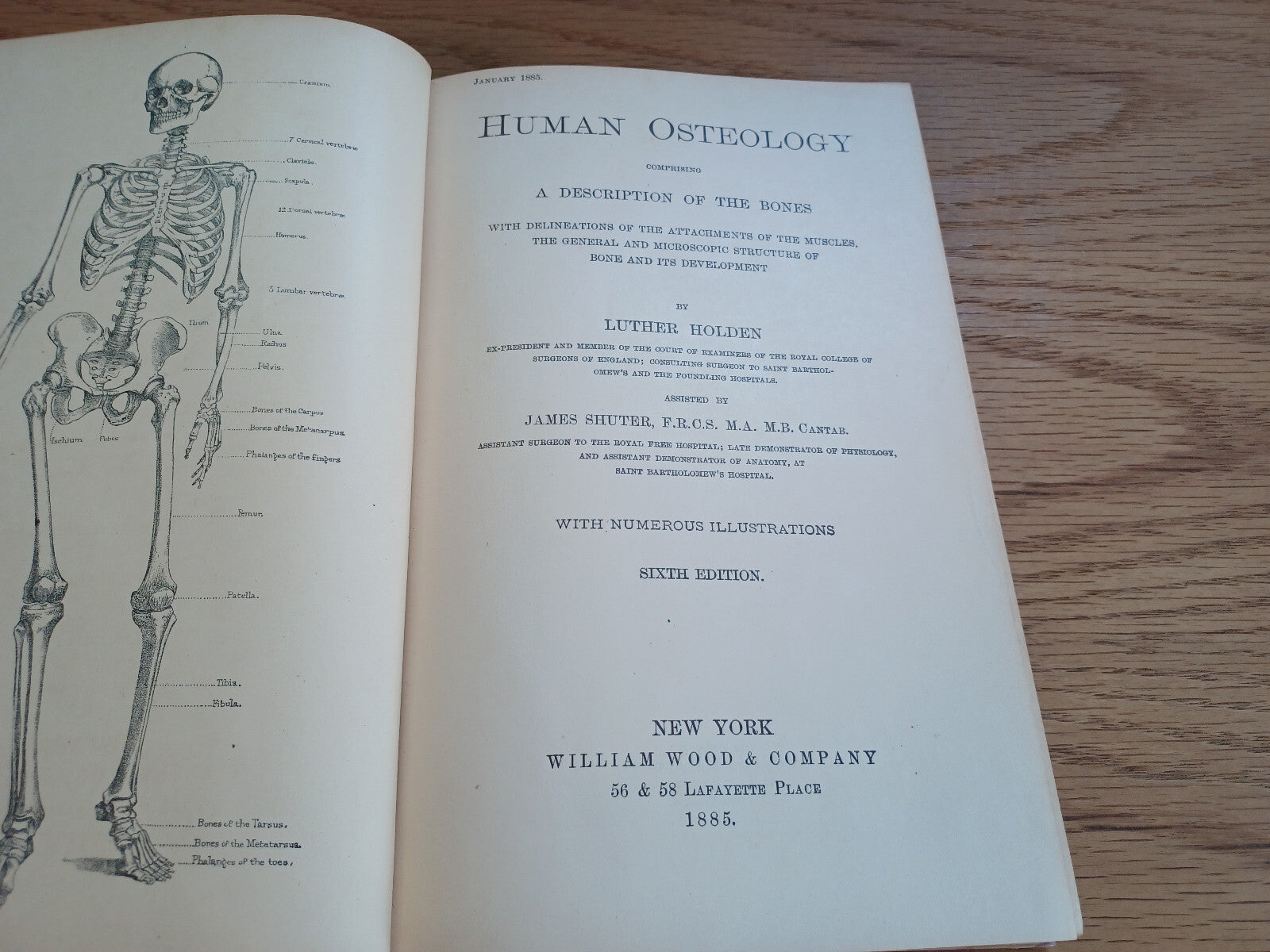 Image #8
