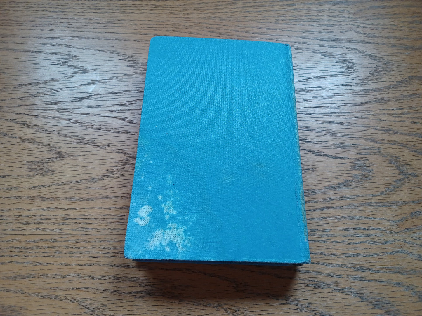 Image #6