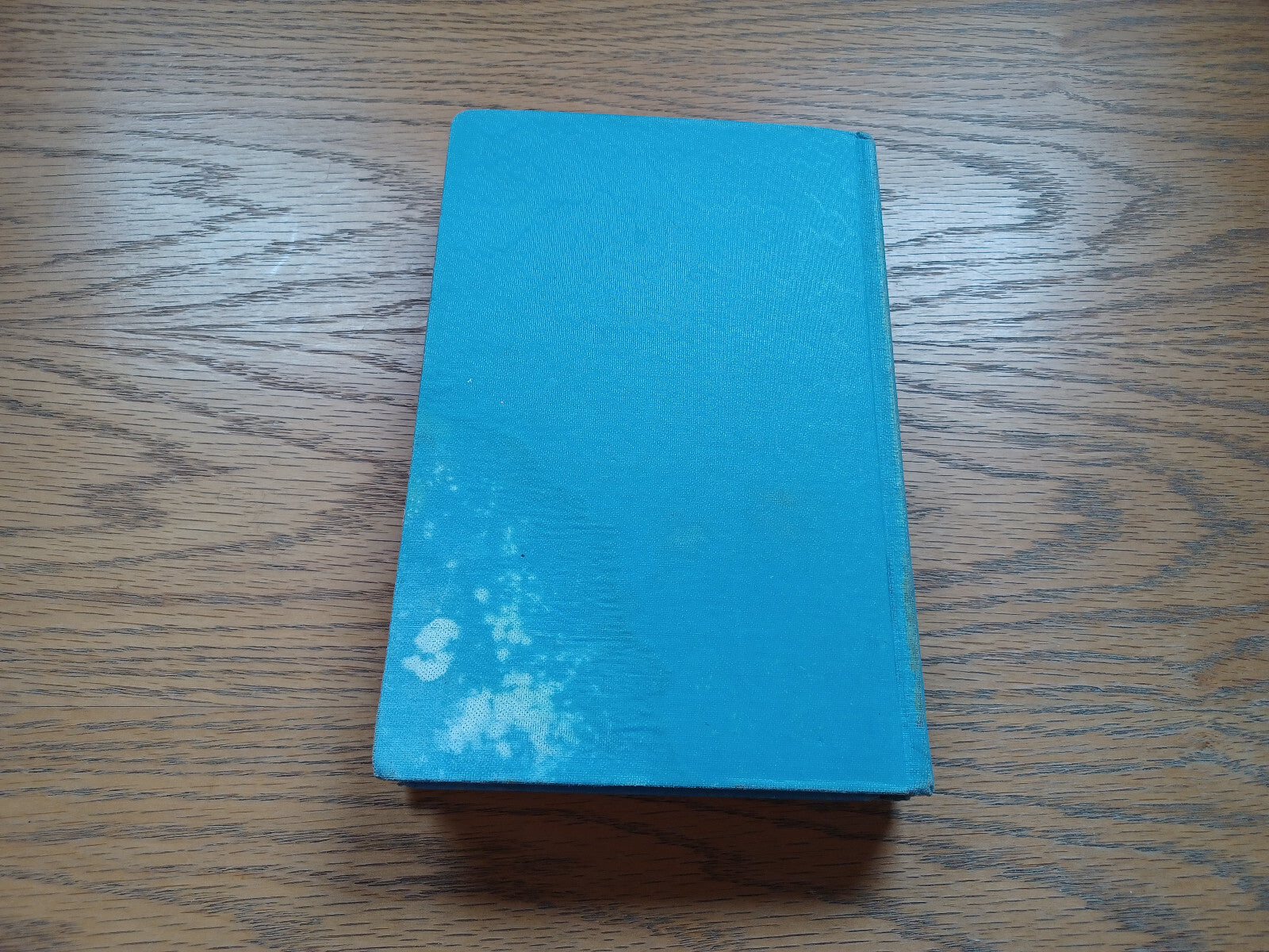 Image #6