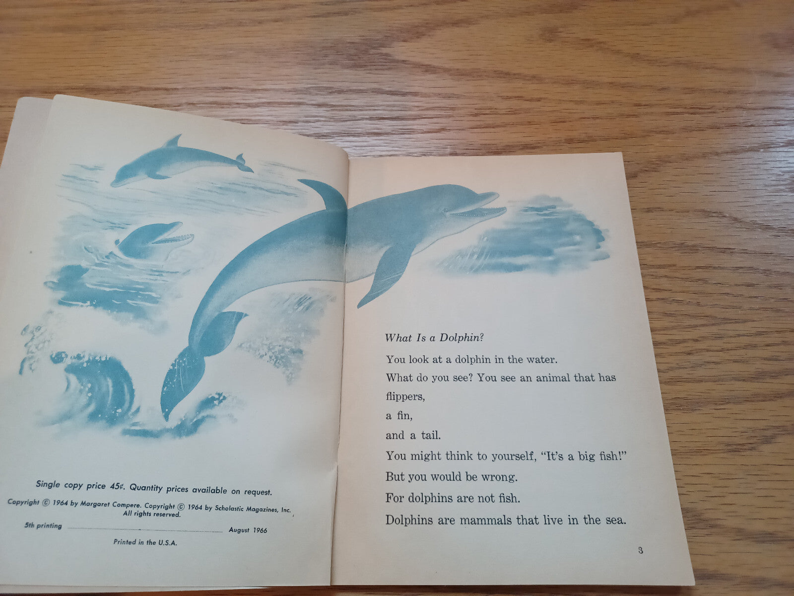 Image #5