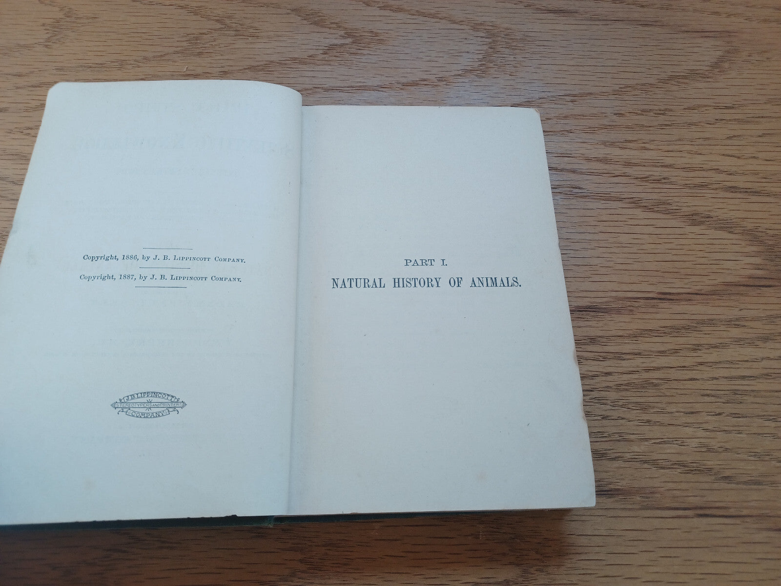 Image #8