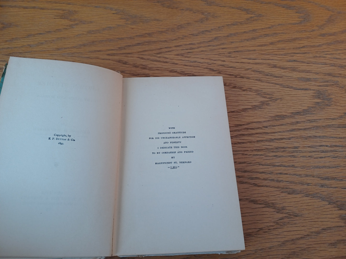 Image #8