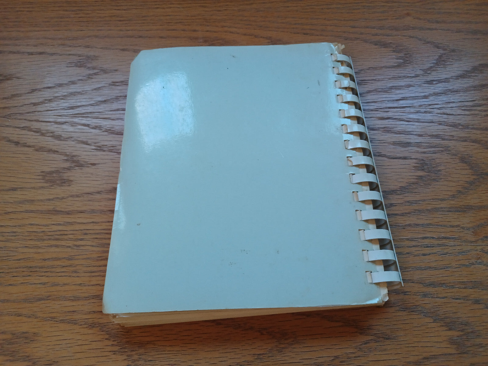 Image #6