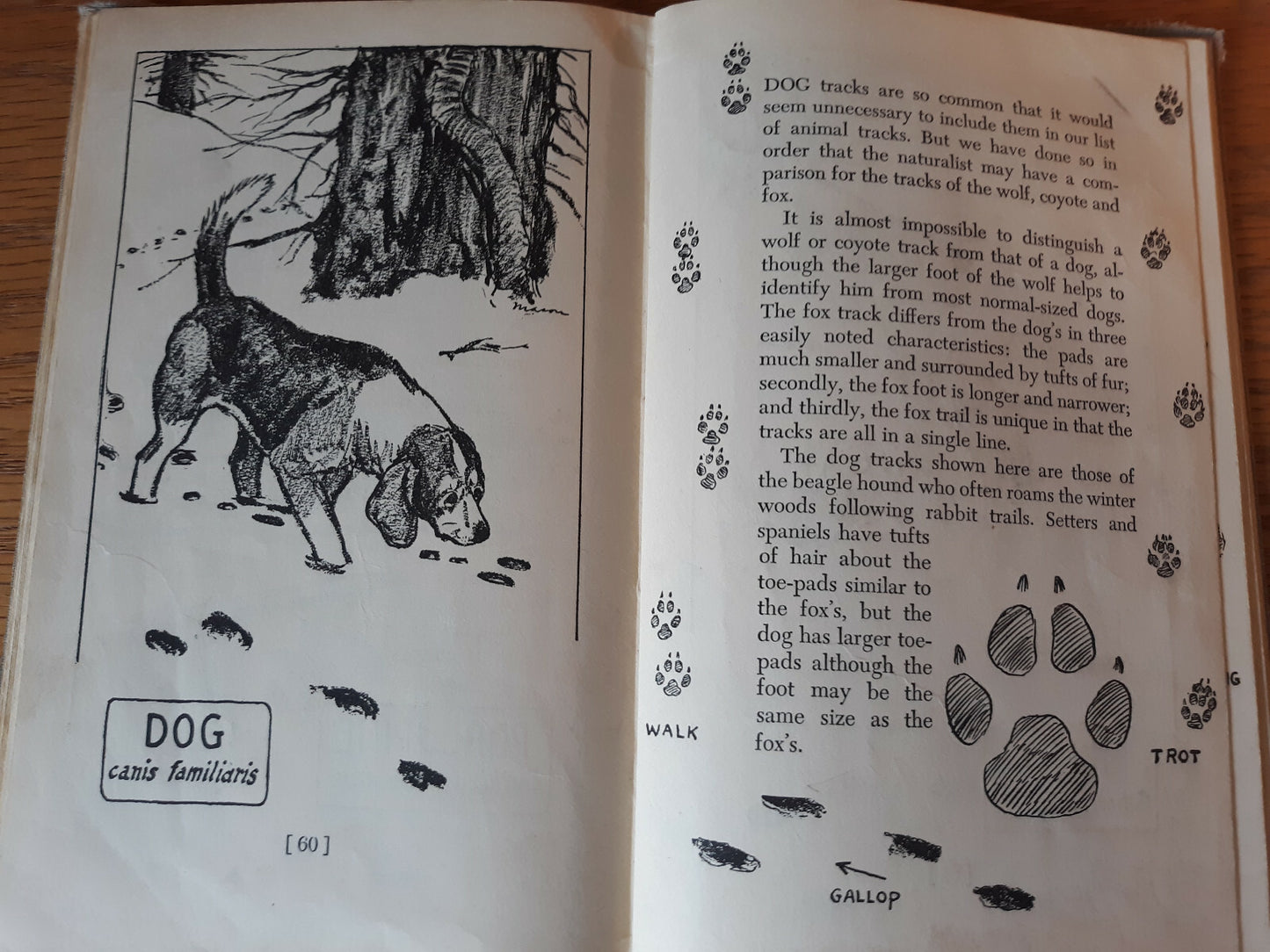 Image #11
