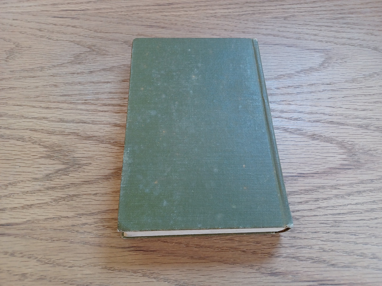 Image #6