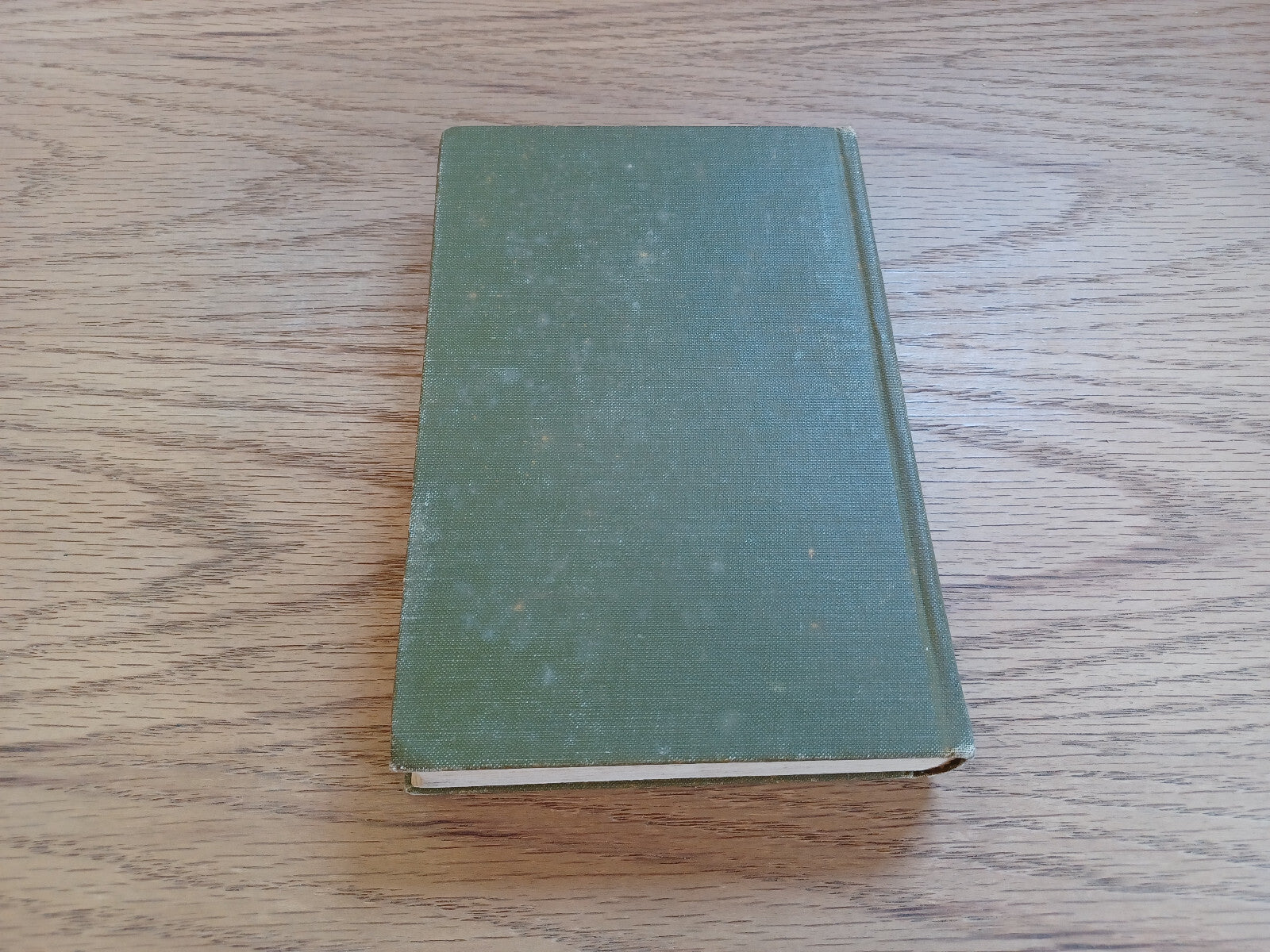 Image #6