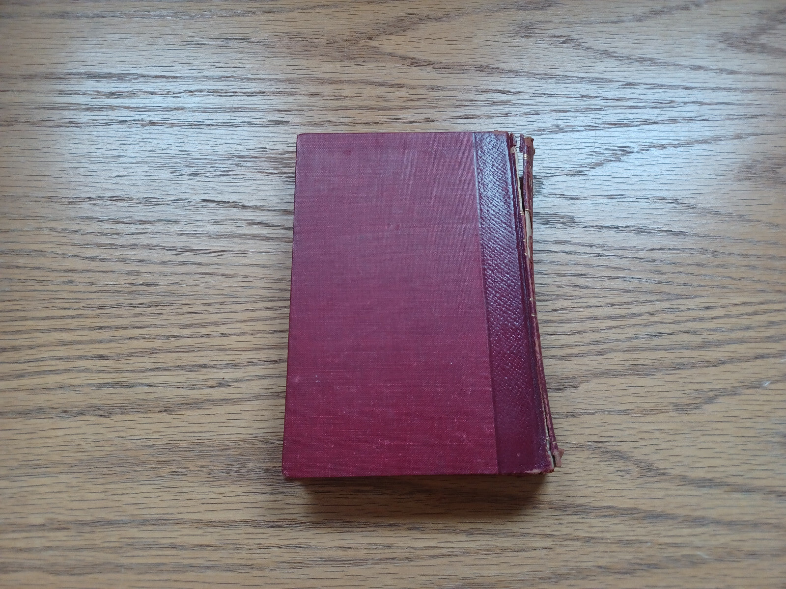 Image #6