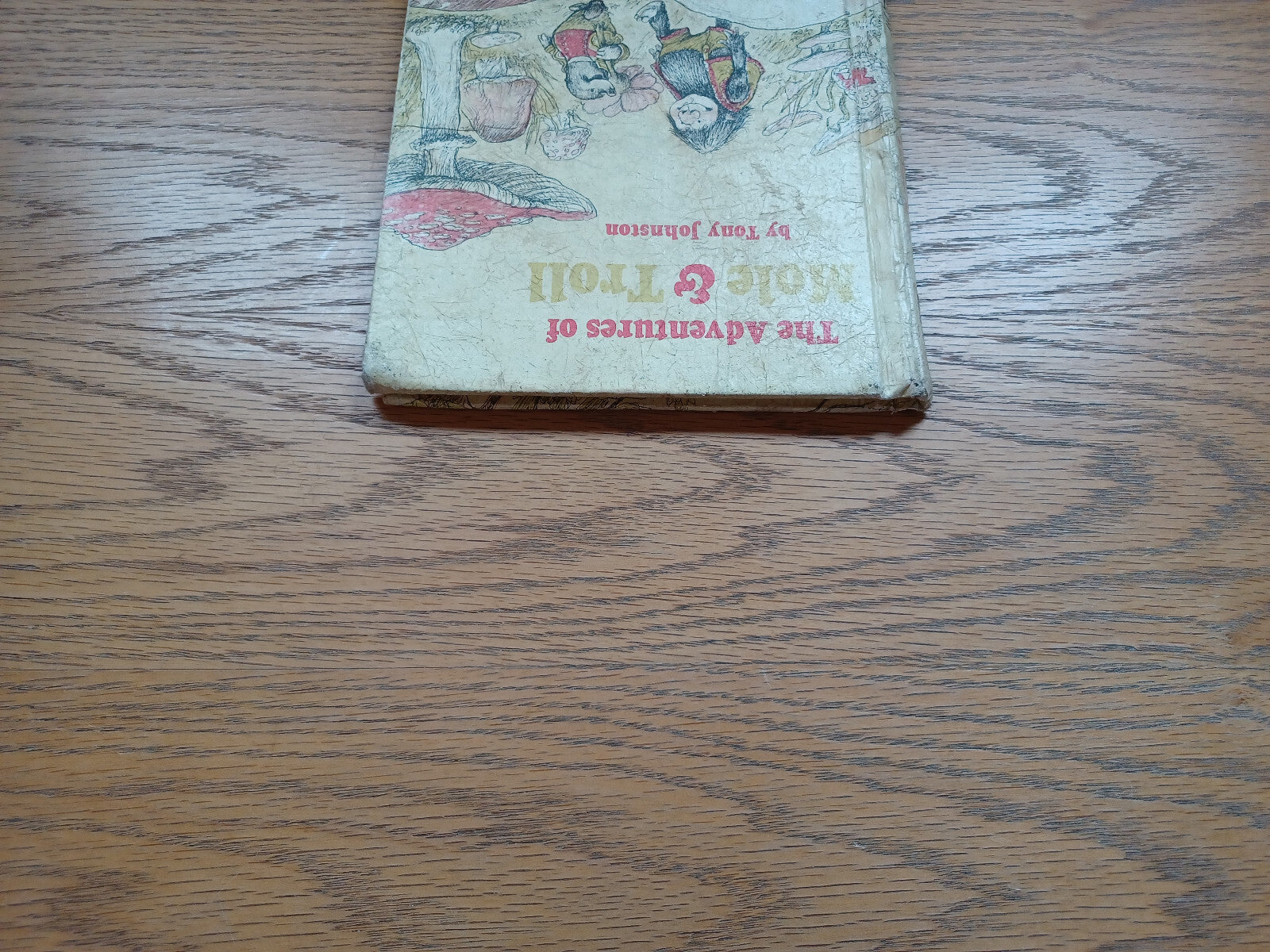 Image #4