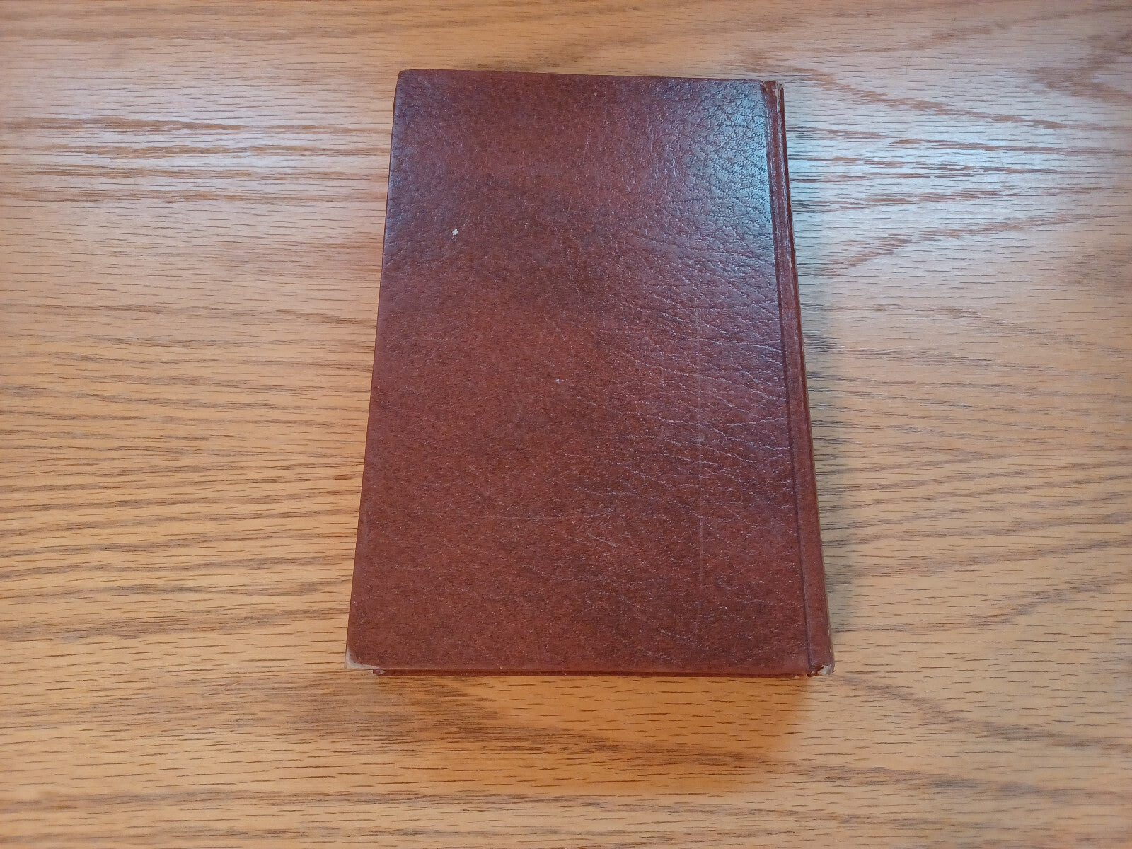 Image #6