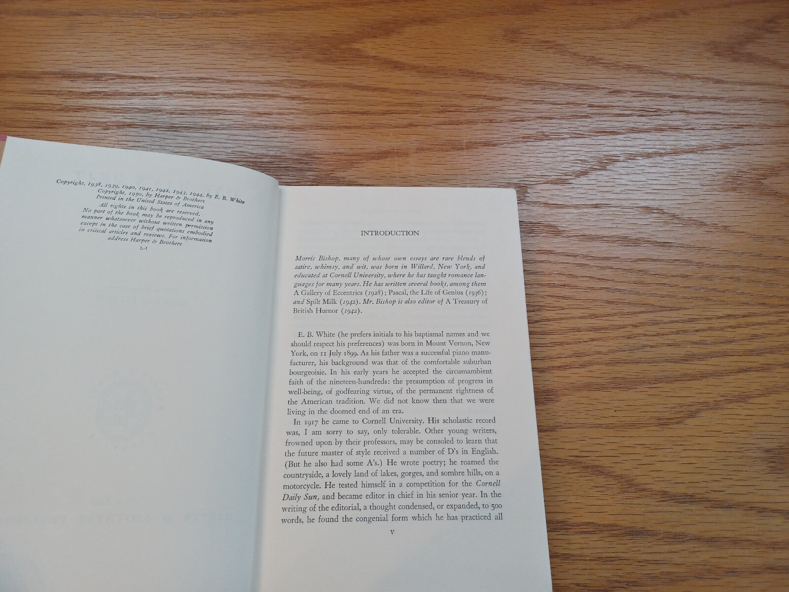 Image #8