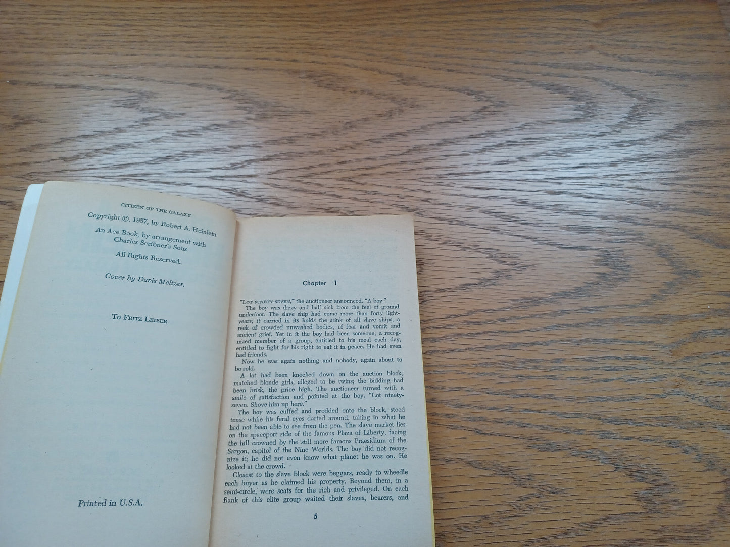 Image #8