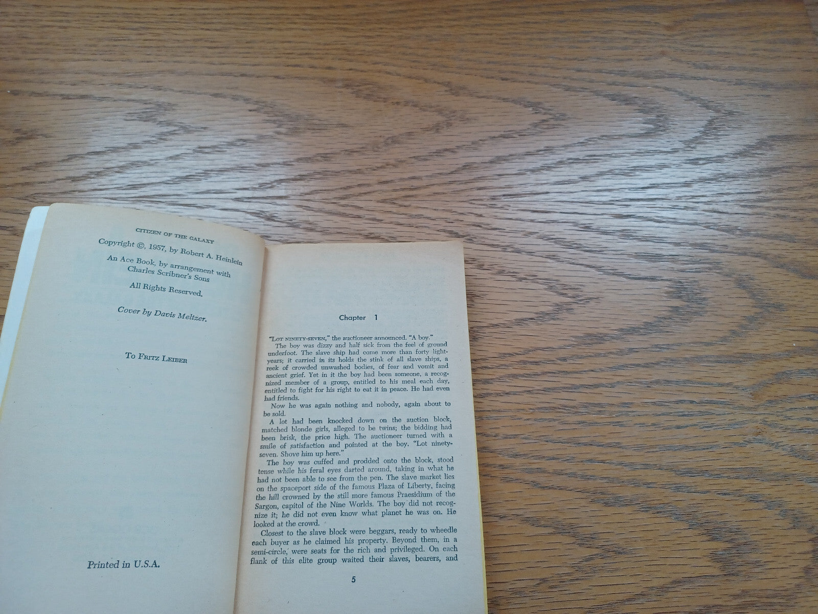 Image #8