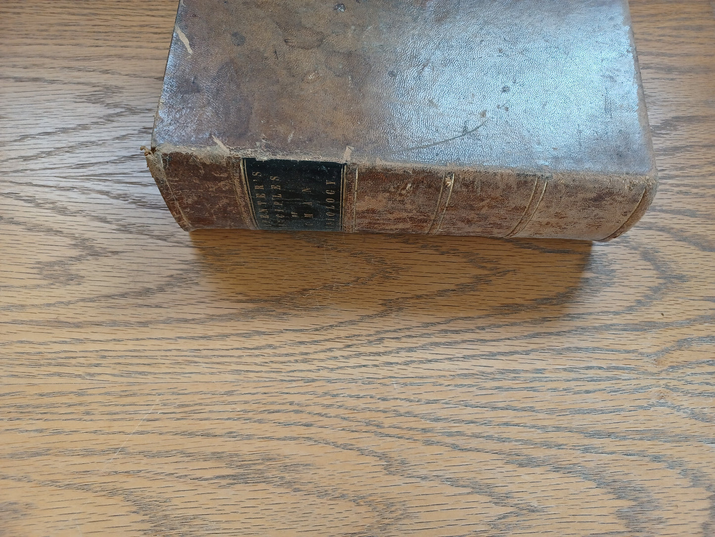 Image #5