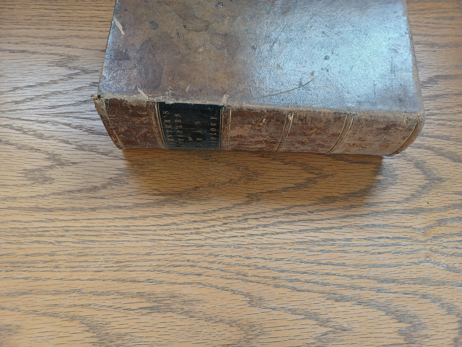 Image #5