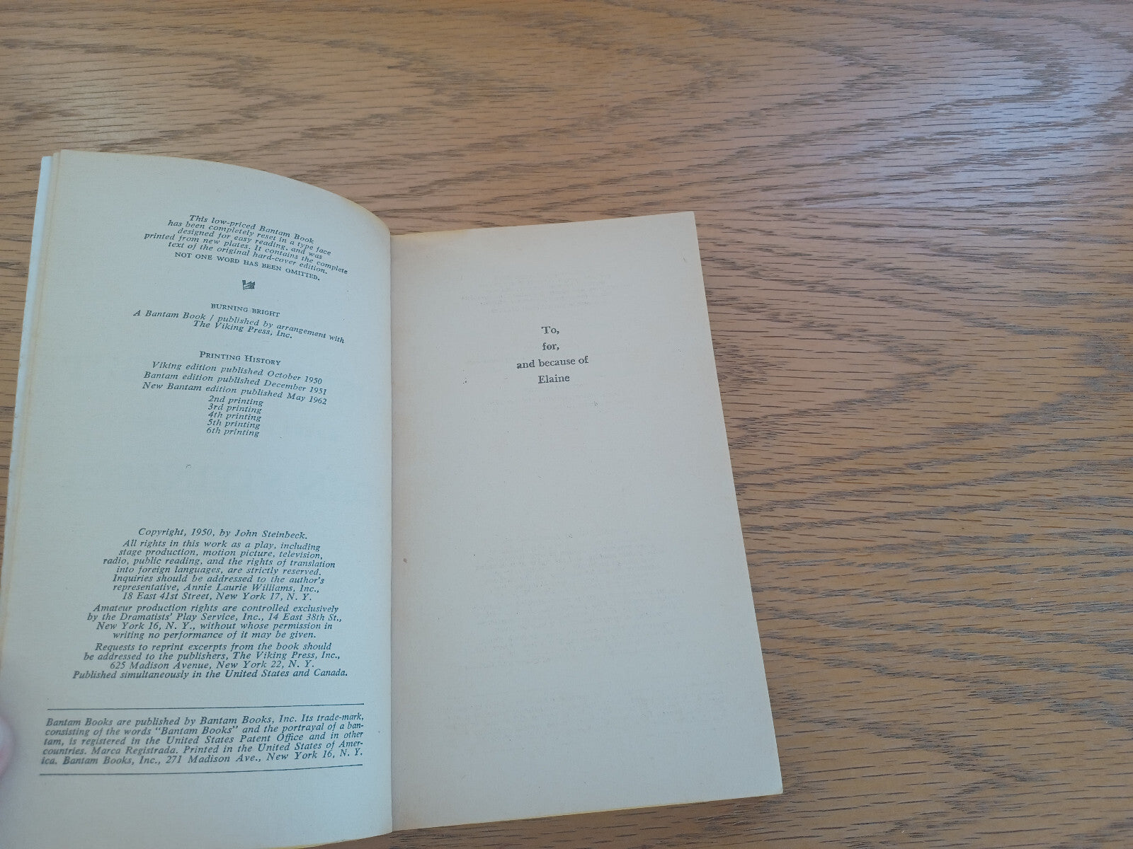 Image #8