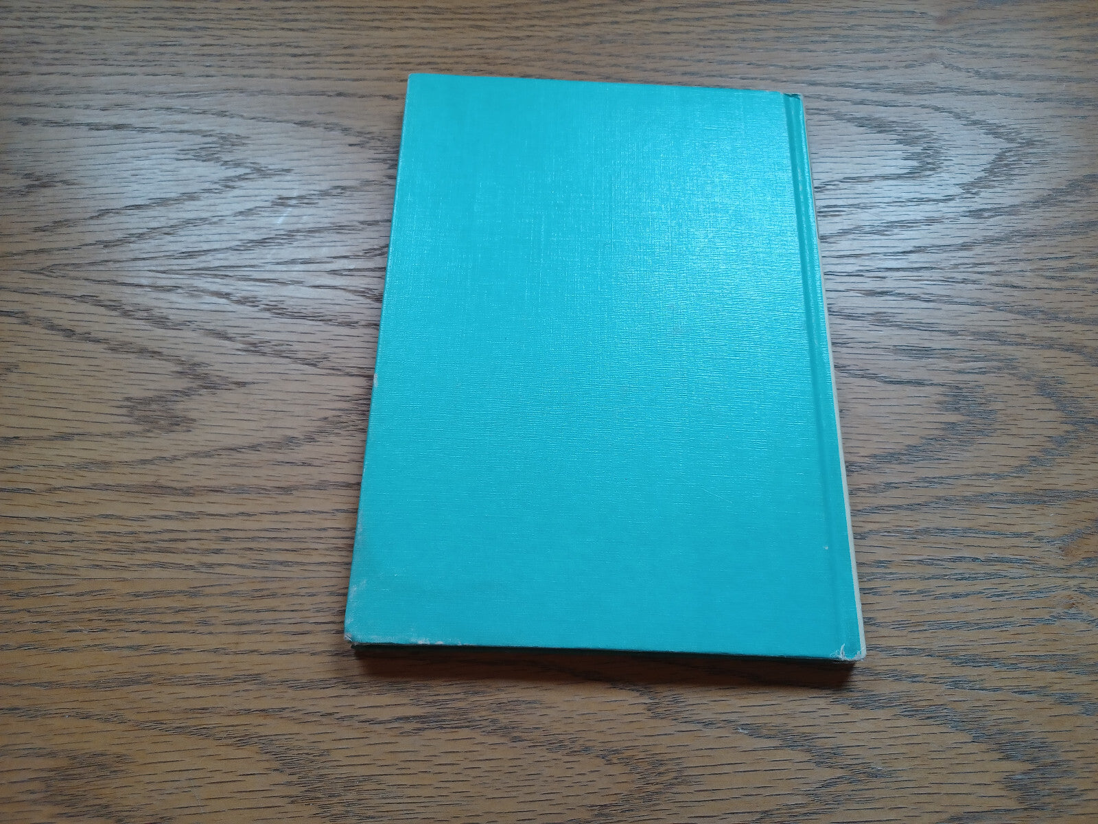 Image #6