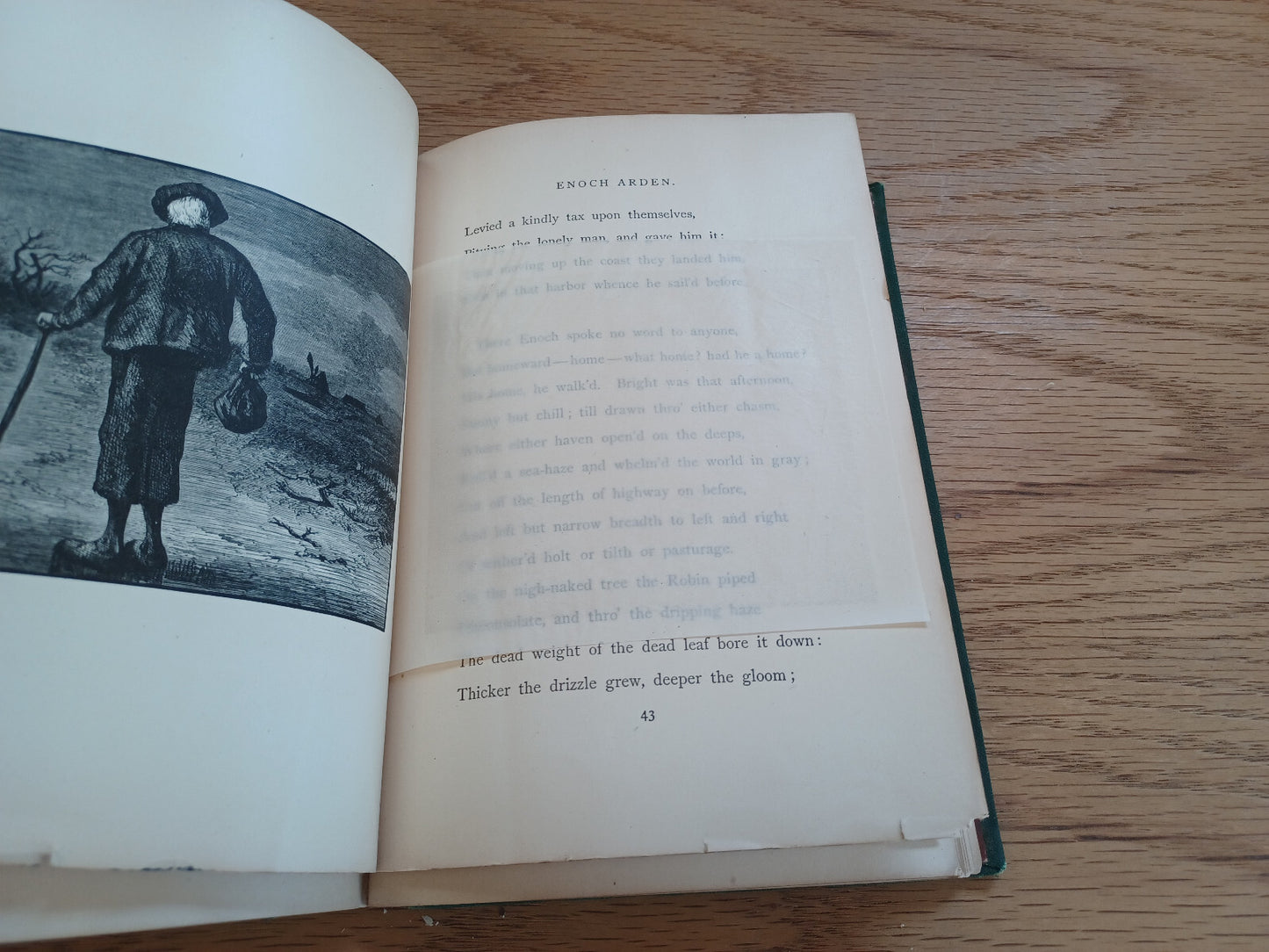 Image #12