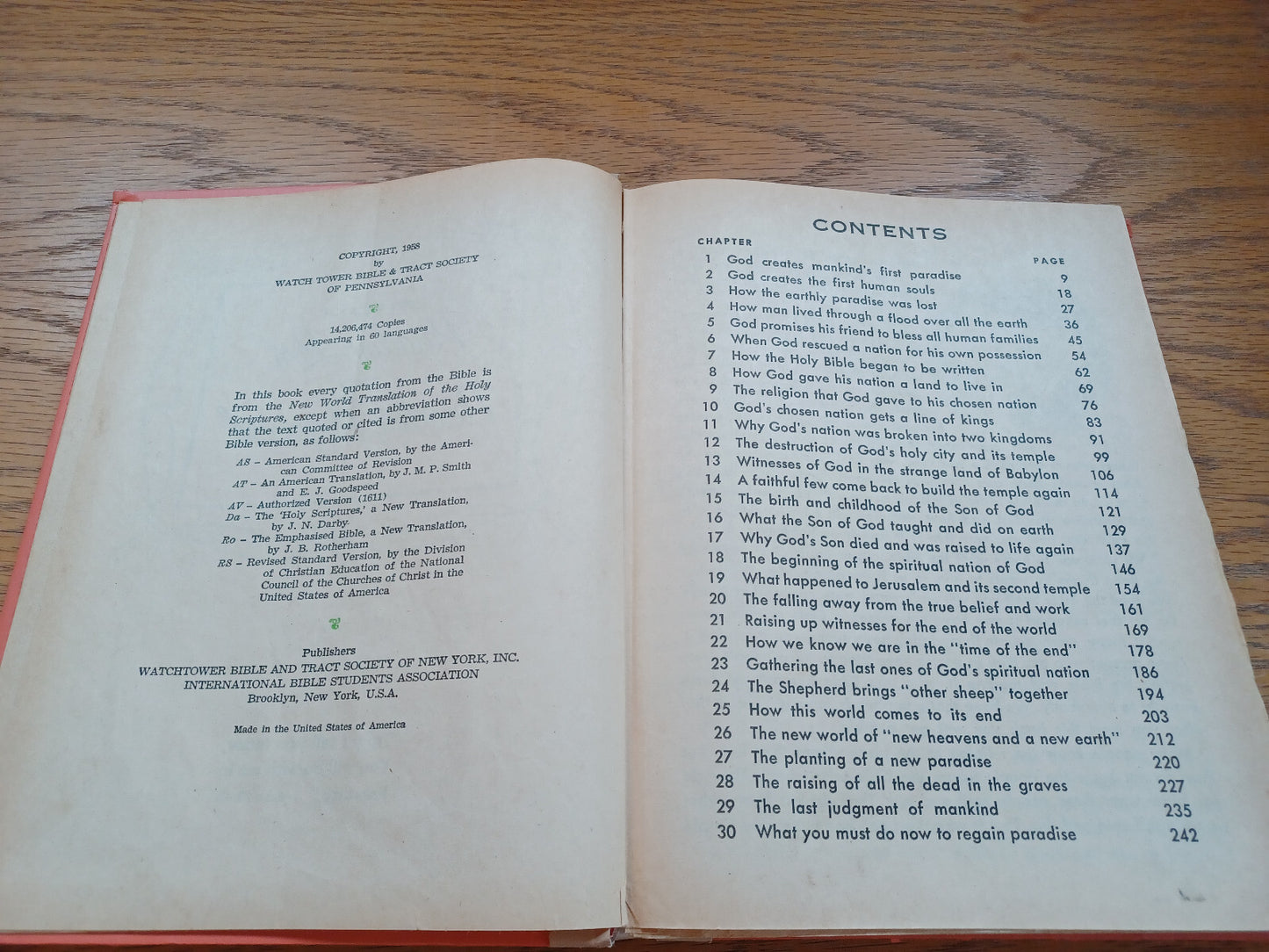 Image #8