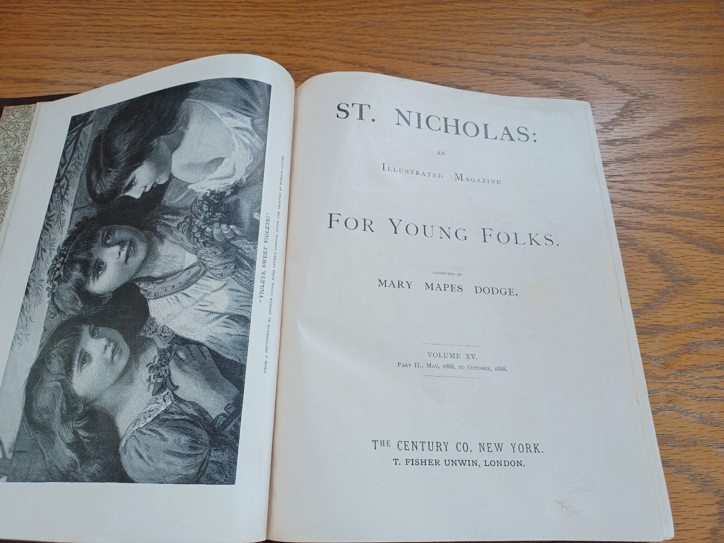 Image #8